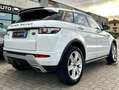 Land Rover Range Rover Evoque Range Rover Evoque 2011 5p 2.2 sd4 Prestige 190cv Bianco - thumbnail 5