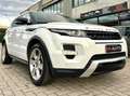 Land Rover Range Rover Evoque Range Rover Evoque 2011 5p 2.2 sd4 Prestige 190cv Bianco - thumbnail 2