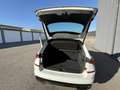 Skoda Kamiq 1,5 TSI ACT Monte Carlo DSG Weiß - thumbnail 15