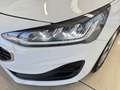 Ford Focus Sportbreak 1.5 Ecoblue Trend+ 120 Blanco - thumbnail 8