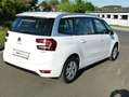 Citroen Grand C4 Picasso Selection Pure Tech 130[Kamera/7-Sitze] Weiß - thumbnail 7