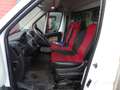 Fiat Ducato 35L 2.3 MultiJet L4 h3 bakwagen met laadklep Wit - thumbnail 8