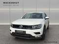 Volkswagen Tiguan 1.4 TSI SOUND AHK+ACC+LED+18'' Wit - thumbnail 2