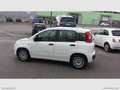 Fiat Panda 1.0 FireFly S&S Hybrid 5 POSTI Wit - thumbnail 4