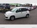 Fiat Panda 1.0 FireFly S&S Hybrid 5 POSTI Wit - thumbnail 1