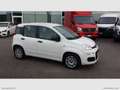Fiat Panda 1.0 FireFly S&S Hybrid 5 POSTI Wit - thumbnail 2