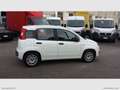 Fiat Panda 1.0 FireFly S&S Hybrid 5 POSTI Wit - thumbnail 3