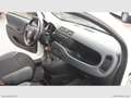 Fiat Panda 1.0 FireFly S&S Hybrid 5 POSTI Wit - thumbnail 17