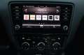 Skoda Octavia Combi 1,6 TDI Ambition Limited DSG / Pickerl NE... Silber - thumbnail 16