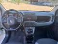Fiat Panda Panda 1.3 mjt 16v Adventure 4x4 Bianco - thumbnail 7