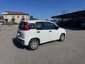 Fiat Panda Panda 1.3 mjt 16v Adventure 4x4 Bianco - thumbnail 3