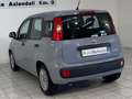 Fiat Panda Panda 1.0 firefly hybrid s Gris - thumbnail 6
