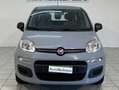 Fiat Panda Panda 1.0 firefly hybrid s Gris - thumbnail 5