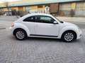 Volkswagen Beetle 1.6TDI Design 105 Blanco - thumbnail 15