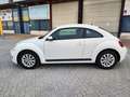 Volkswagen Beetle 1.6TDI Design 105 Blanco - thumbnail 16