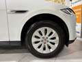 Jaguar F-Pace F-PACE AWD/AMBIENTE/LED/3D-KAMERA/ Weiß - thumbnail 9