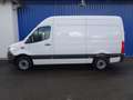 Mercedes-Benz Sprinter 317 CDI Kasten L2H2 / AHK 3500 KG Blanco - thumbnail 6