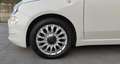 Fiat 500 500 III 1.0 hybrid Cult 70cv * NAVI LARGO * PROMO White - thumbnail 15