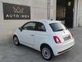 Fiat 500 500 III 1.0 hybrid Cult 70cv * NAVI LARGO * PROMO White - thumbnail 6