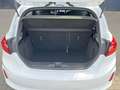 Ford Fiesta 1.0 ECOBOOST HYBRID ST-LINE X I APPLE CARPLAY I CL Blanco - thumbnail 13