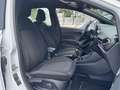 Ford Fiesta 1.0 ECOBOOST HYBRID ST-LINE X I APPLE CARPLAY I CL Blanco - thumbnail 10