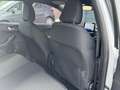 Ford Fiesta 1.0 ECOBOOST HYBRID ST-LINE X I APPLE CARPLAY I CL Blanco - thumbnail 11