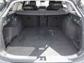 Volkswagen Passat Variant (neues Modell) 2.0 TDI DSG Business Grau - thumbnail 18