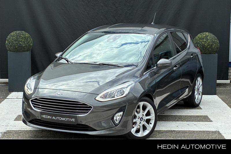 Ford Fiesta 1.0 EcoBoost Titanium Automaat | Winterpack | Came