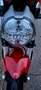 Ducati Monster 797 Rojo - thumbnail 13