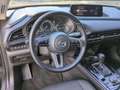 Mazda CX-30 2.5 e-SKYACTIV-G Homura 2WD Automatik Navi Gris - thumbnail 11