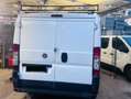 Fiat Ducato tetto basso passo corto L1H1 Bianco - thumbnail 9