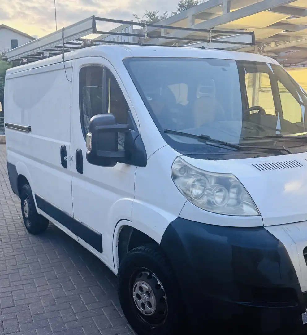 Fiat Ducato tetto basso passo corto L1H1 Bianco - 2