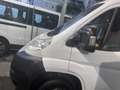 Fiat Ducato tetto basso passo corto L1H1 Bianco - thumbnail 4
