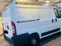 Fiat Ducato tetto basso passo corto L1H1 Bianco - thumbnail 8
