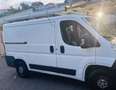 Fiat Ducato tetto basso passo corto L1H1 Bianco - thumbnail 3