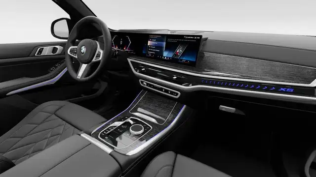 BMW X5 X5 view 13