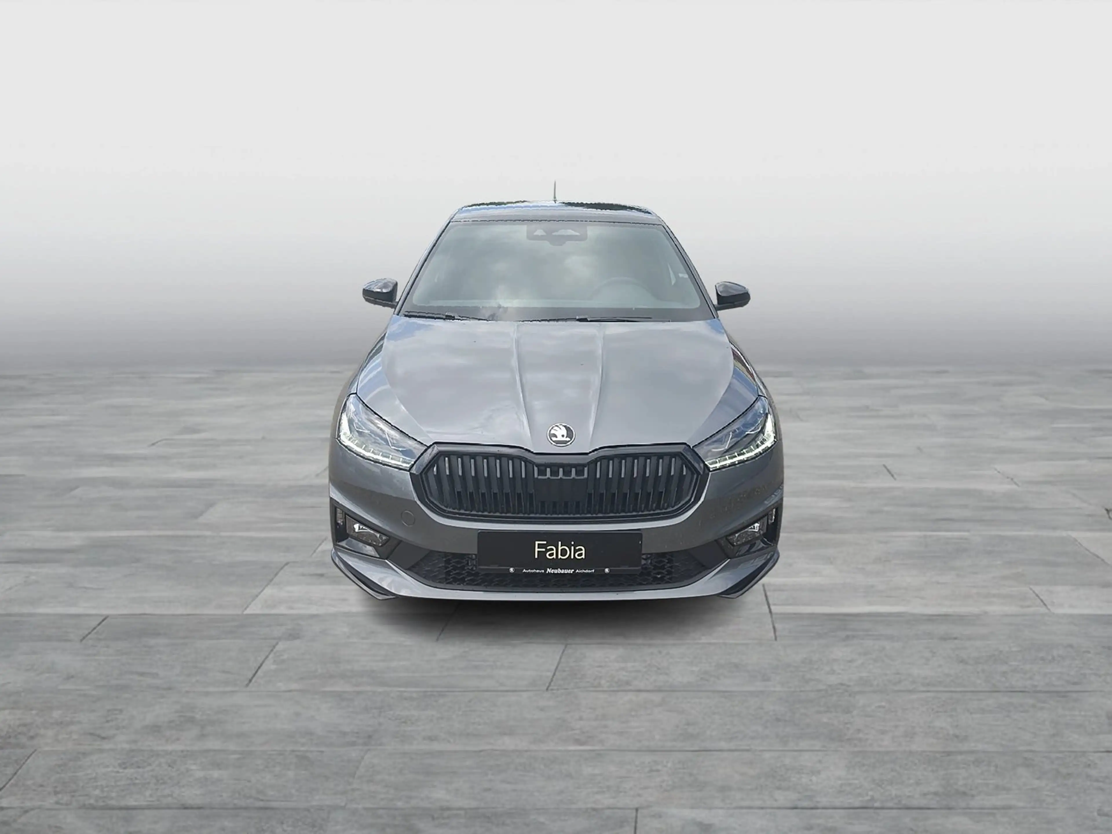 Skoda Fabia Monte Carlo TSI DSG — photo 7