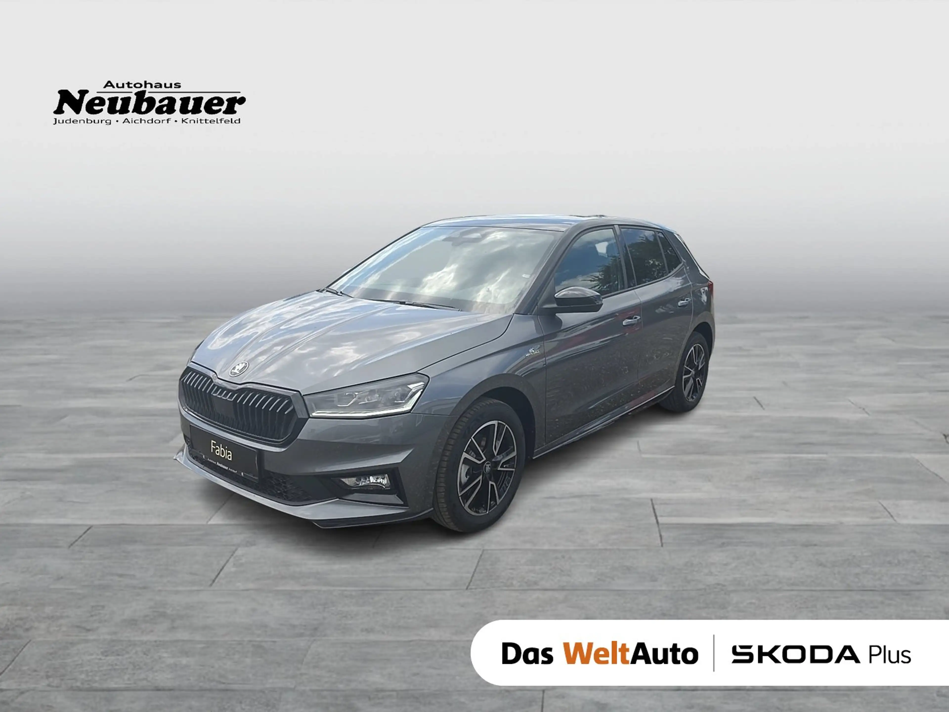 Skoda Fabia Monte Carlo TSI DSG