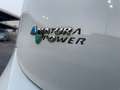 Fiat Punto Evo Punto Evo 5p 1.4 natural power Emotion 70cv Blanc - thumbnail 23