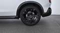 MINI Countryman D Weiß - thumbnail 19