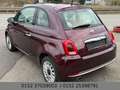 Fiat 500 PANO LED CITY GARANTIE TÜV Klima Violett - thumbnail 10