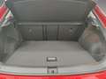 Volkswagen T-Roc Life 1.5 TSI LED+/IQ.Drive/Standh/04.30Gar Rouge - thumbnail 15