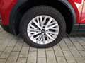 Volkswagen T-Roc Life 1.5 TSI LED+/IQ.Drive/Standh/04.30Gar Rot - thumbnail 8