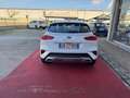 Kia XCeed 1.6 CRDi 115 CV Style NEOPATENTATI Bianco - thumbnail 14