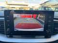 Kia XCeed 1.6 CRDi 115 CV Style NEOPATENTATI Bianco - thumbnail 12