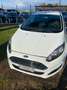 Ford Fiesta 1.4 5p. Bz.- GPL Titanium Blanc - thumbnail 12