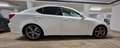 Lexus IS 250 IS 250 Luxury Line Blanc - thumbnail 14