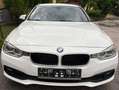 BMW 316 316d Touring Advantage Advantage Weiß - thumbnail 17