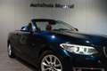 BMW 220 220i Cabrio Luxury Line | PDC | Xenon | Navigatie Blau - thumbnail 44