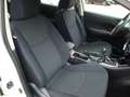 Nissan Pulsar Visia Bianco - thumbnail 12